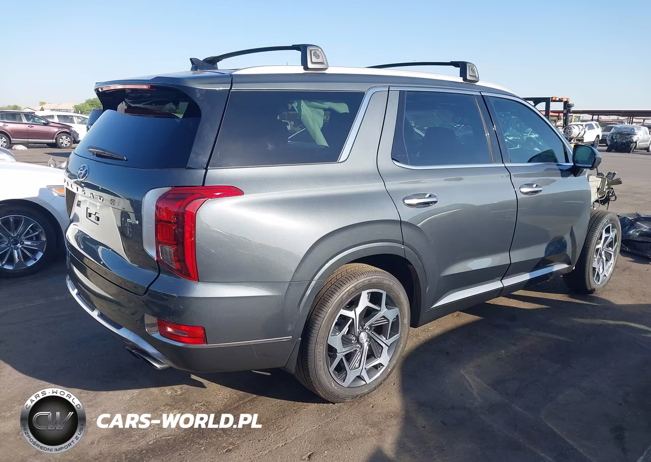 2022 Hyundai Palisade Calligraphy VIN:KM8R7DHEXNU462135 - 4