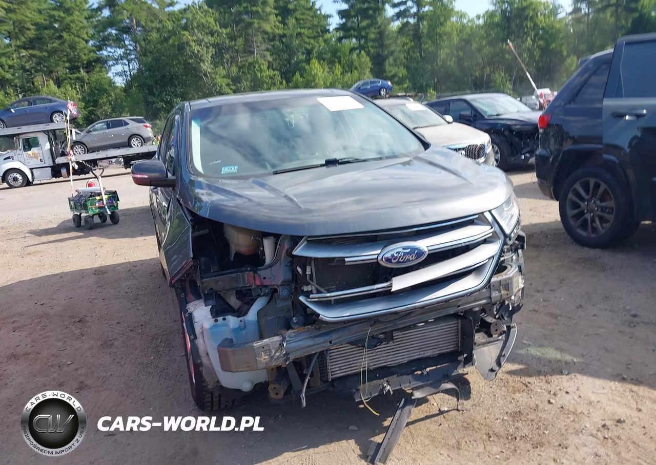 2018 Ford Edge Sel VIN:2FMPK4J98JBC21791 - 17