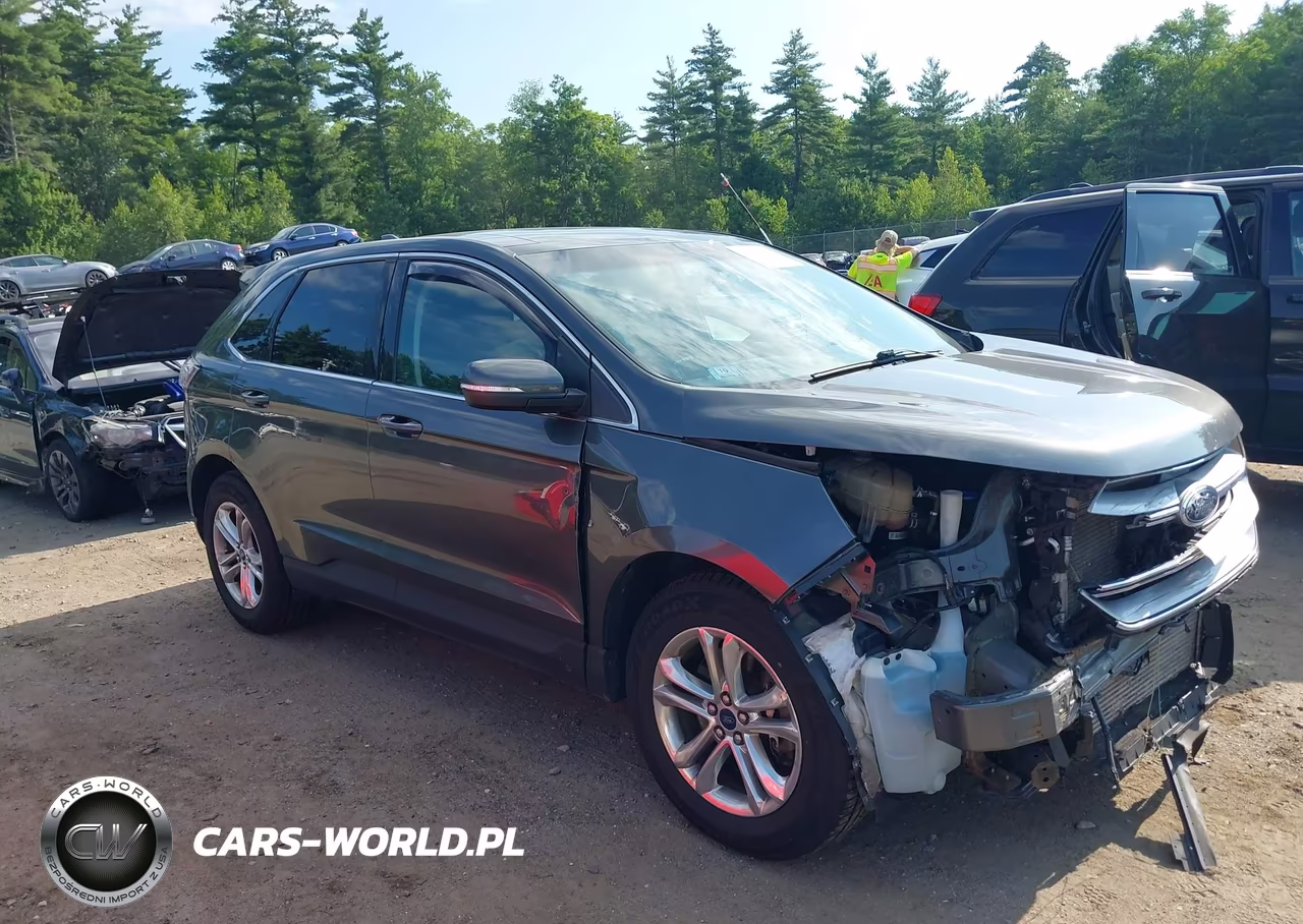 2018 Ford Edge Sel VIN:2FMPK4J98JBC21791 - 18