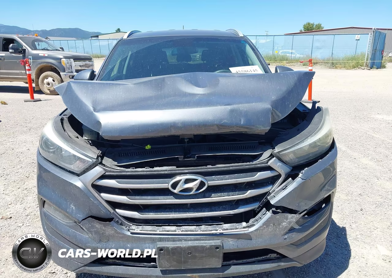 2017 Hyundai Tucson Se VIN:KM8J3CA43HU389439 - 12