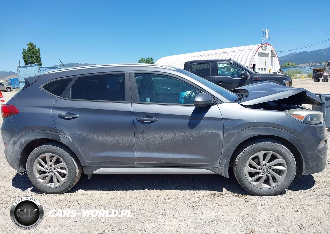 2017 Hyundai Tucson Se VIN:KM8J3CA43HU389439 - 13