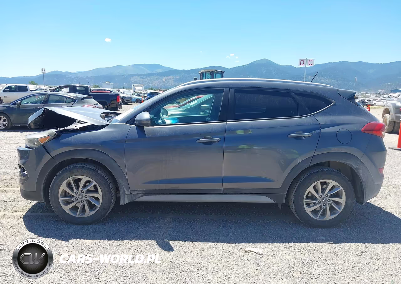 2017 Hyundai Tucson Se VIN:KM8J3CA43HU389439 - 14