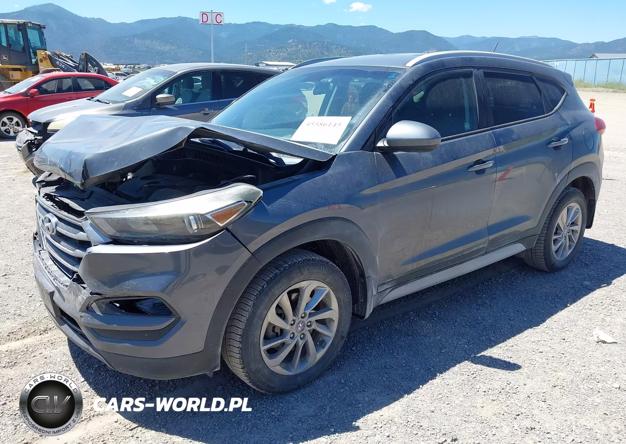 2017 Hyundai Tucson Se VIN:KM8J3CA43HU389439 - 2