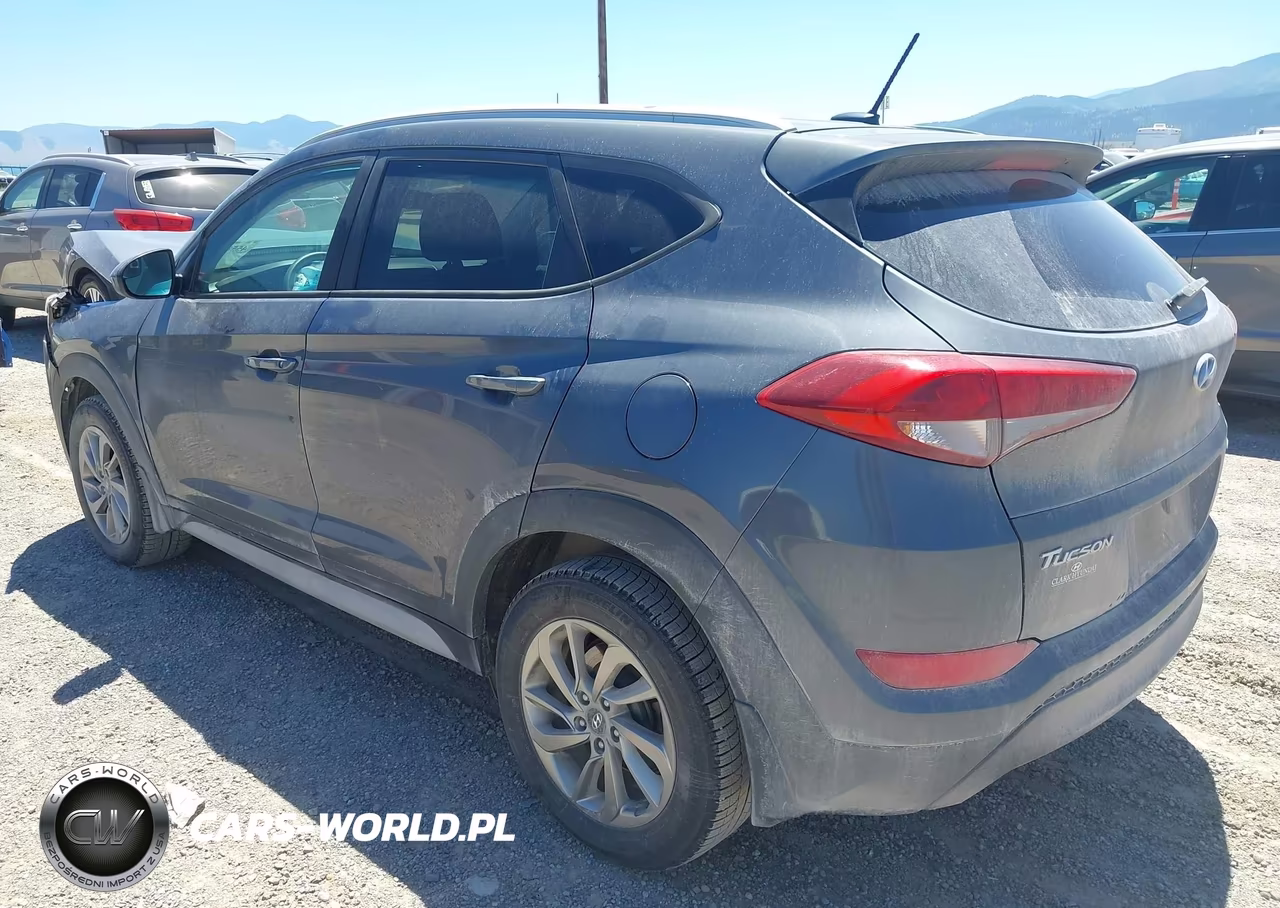 2017 Hyundai Tucson Se VIN:KM8J3CA43HU389439 - 3