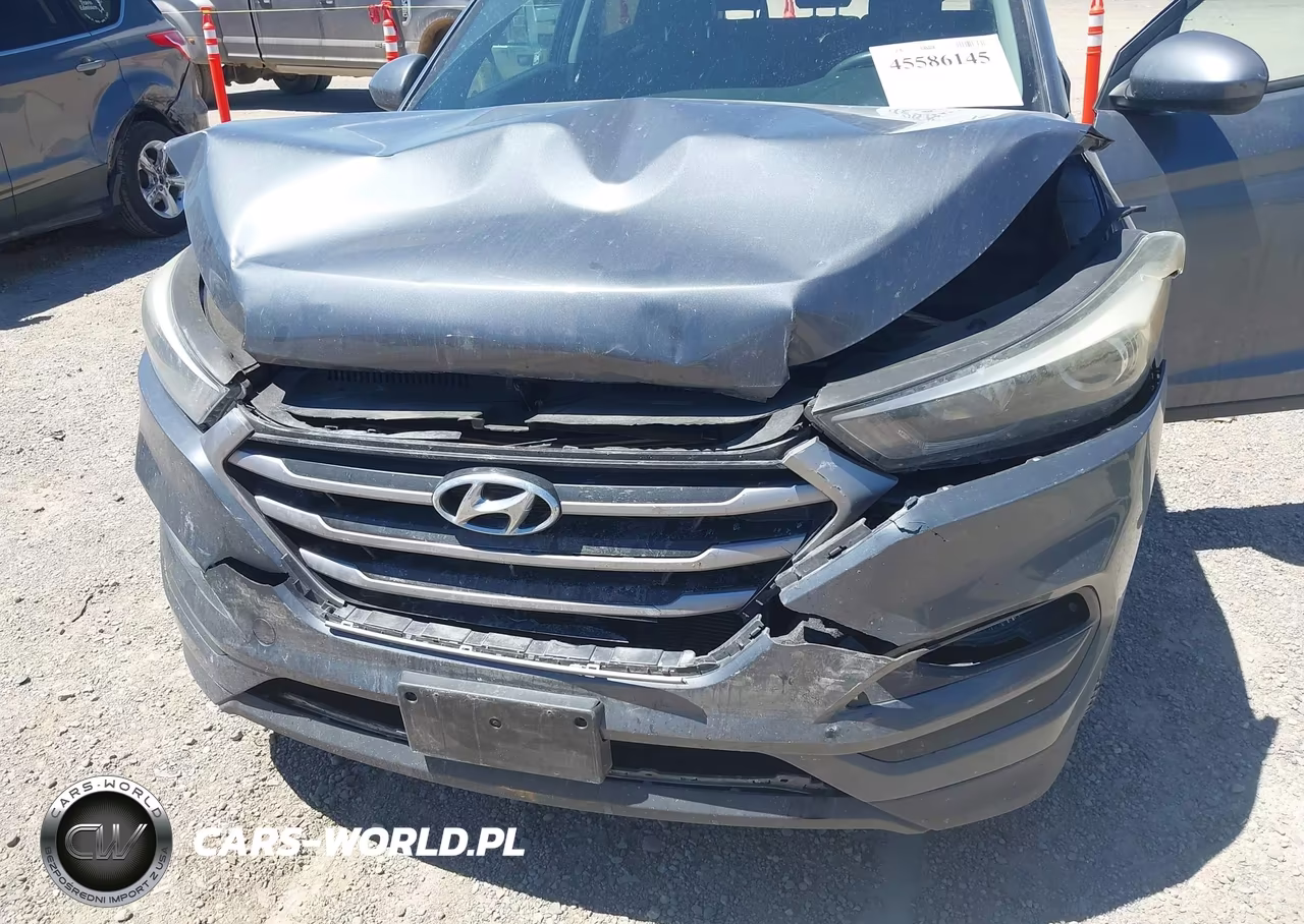 2017 Hyundai Tucson Se VIN:KM8J3CA43HU389439 - 6