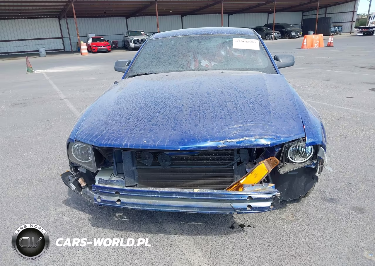2005 Ford Mustang V6 Deluxe-V6 Premium VIN:1ZVFT80N355115694 - 12