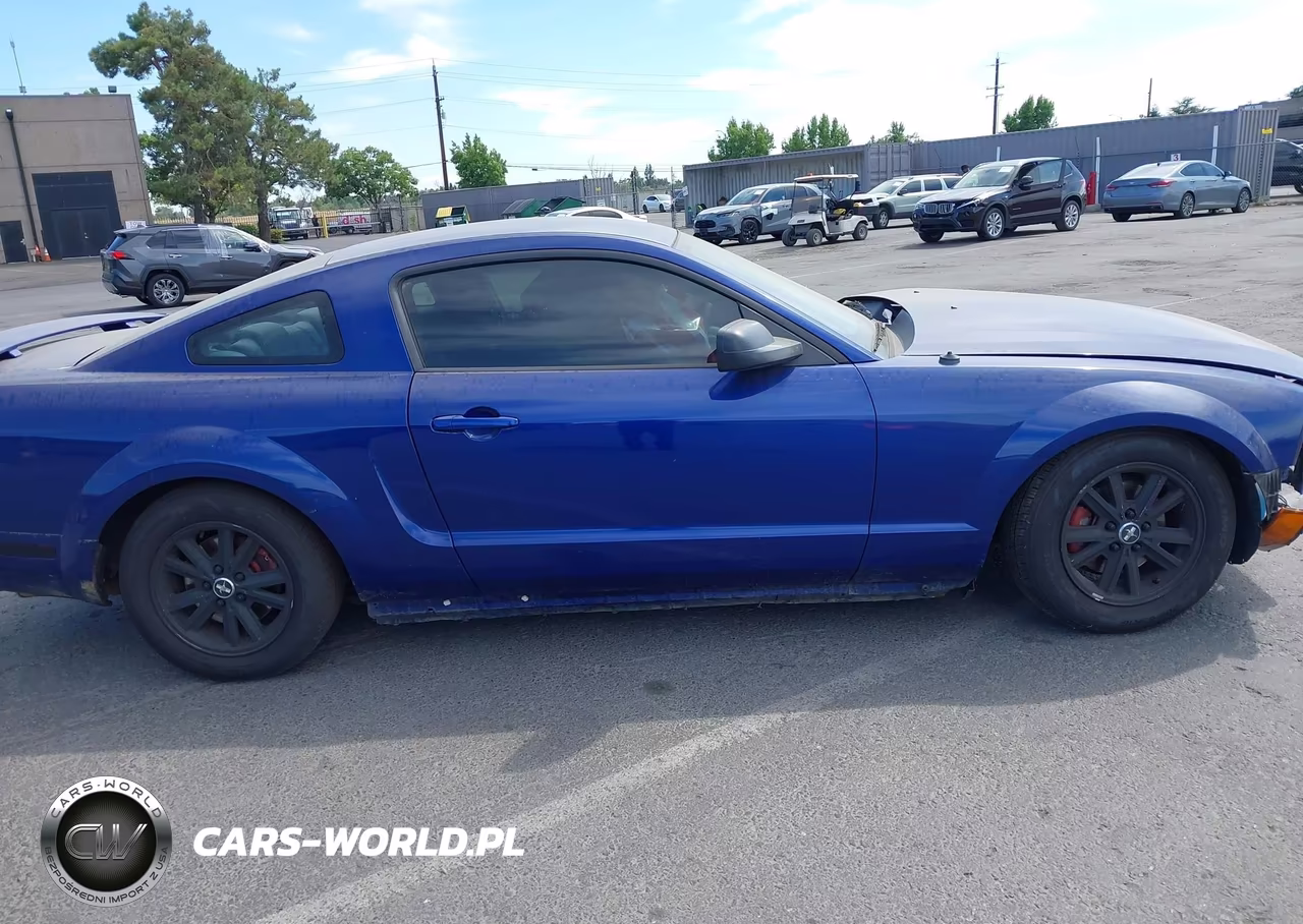 2005 Ford Mustang V6 Deluxe-V6 Premium VIN:1ZVFT80N355115694 - 13