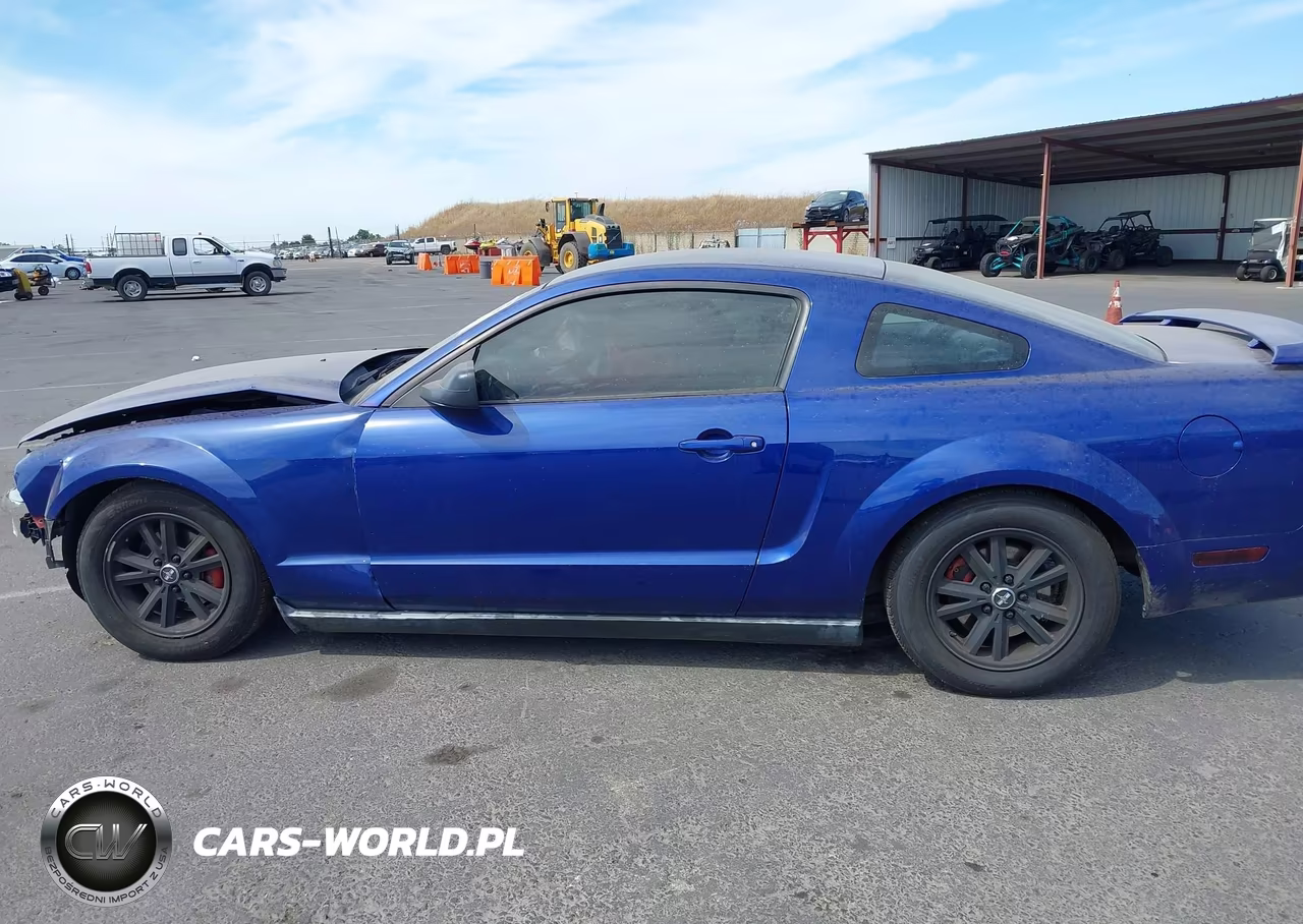 2005 Ford Mustang V6 Deluxe-V6 Premium VIN:1ZVFT80N355115694 - 14