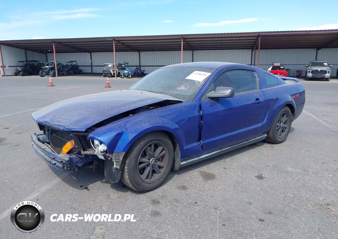 2005 Ford Mustang V6 Deluxe-V6 Premium VIN:1ZVFT80N355115694 - 2