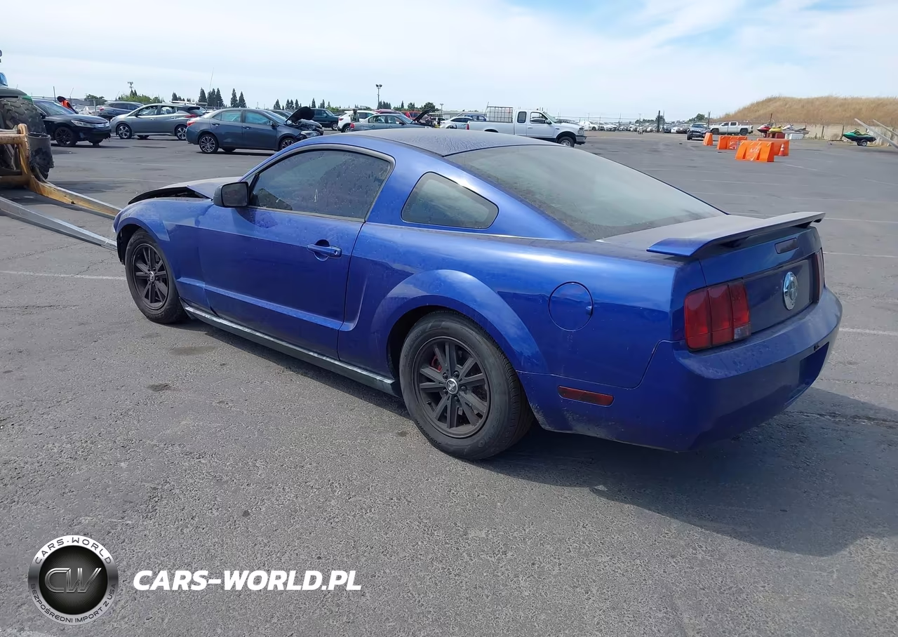 2005 Ford Mustang V6 Deluxe-V6 Premium VIN:1ZVFT80N355115694 - 3
