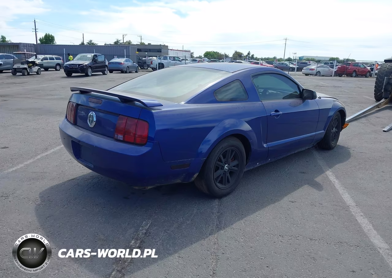 2005 Ford Mustang V6 Deluxe-V6 Premium VIN:1ZVFT80N355115694 - 4