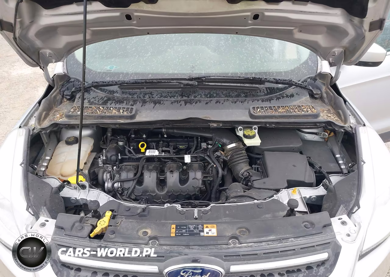 2014 Ford Escape Se VIN:1FMCU9G98EUC25725 - 10