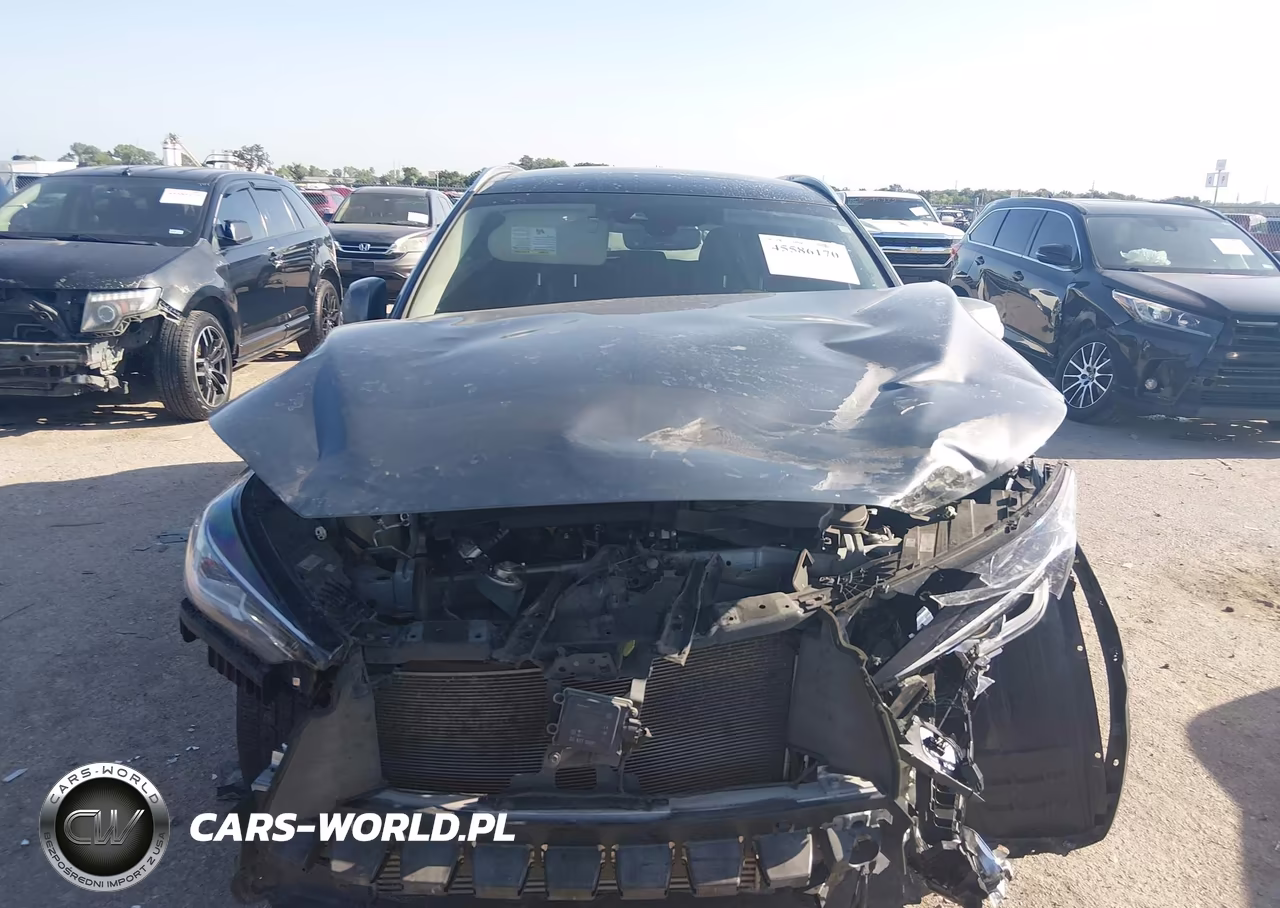2023 Infiniti Qx50 Luxe VIN:3PCAJ5BA4PF119377 - 13