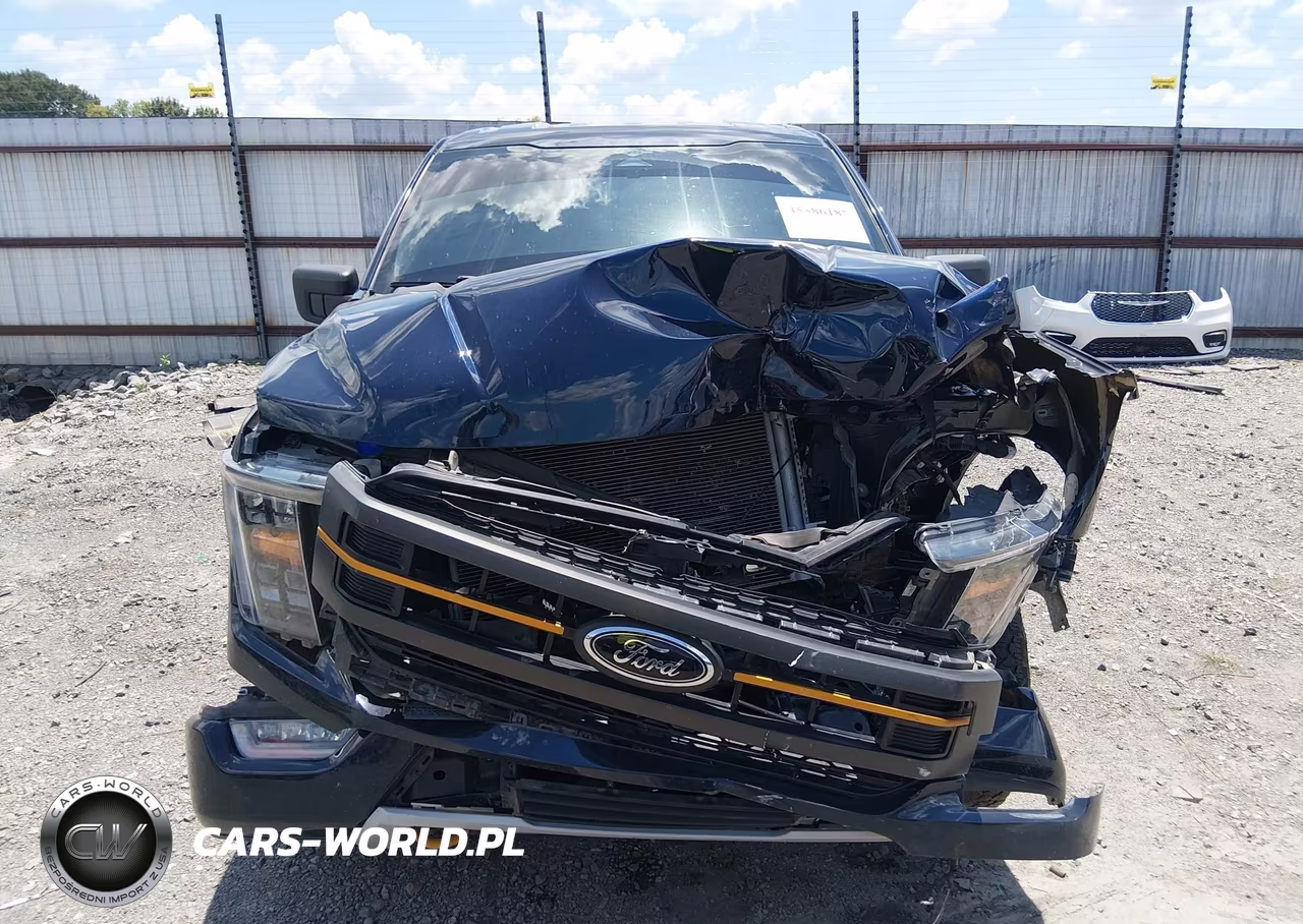 2023 Ford F-150 Tremor VIN:1FTFW1E57PFA48010 - 12
