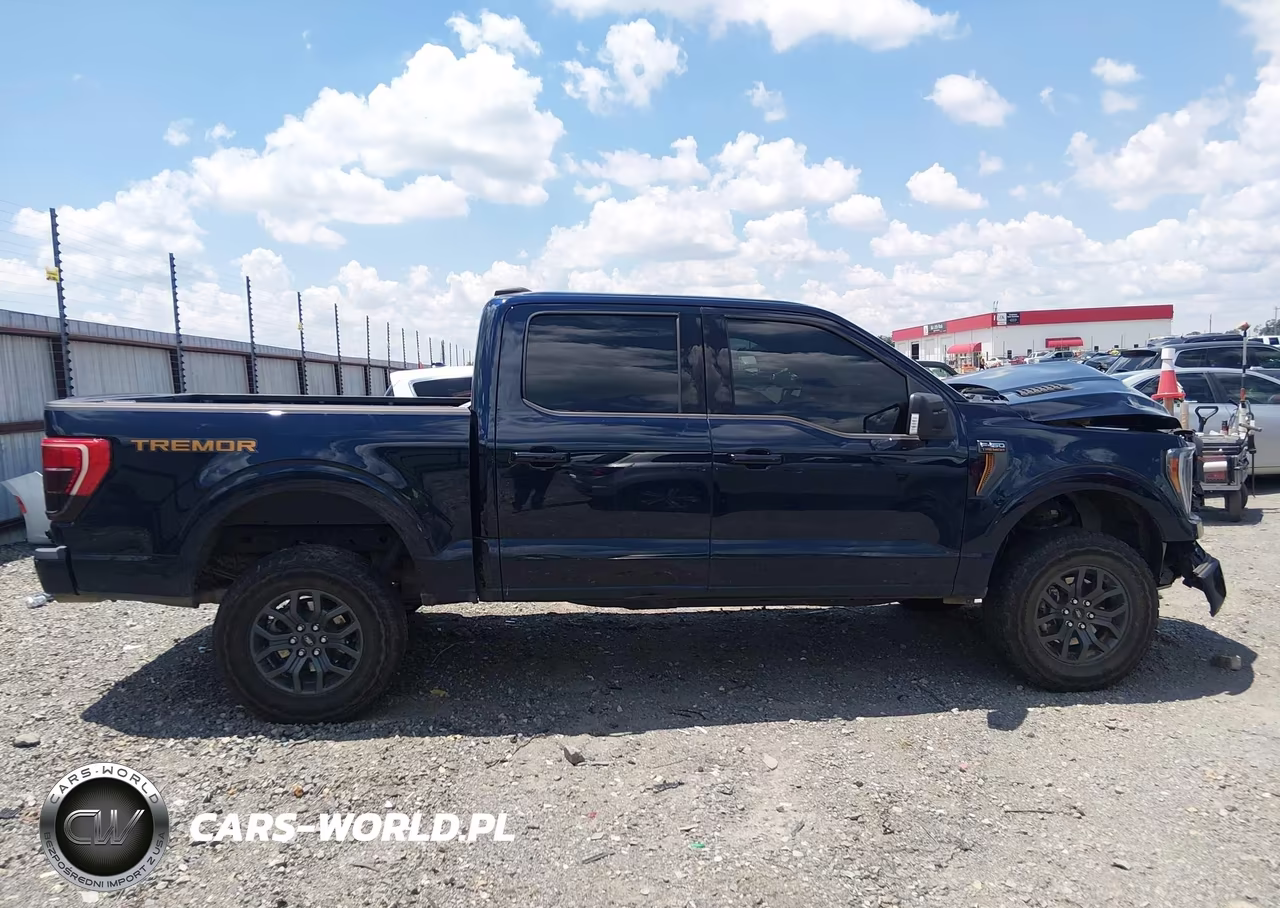 2023 Ford F-150 Tremor VIN:1FTFW1E57PFA48010 - 13