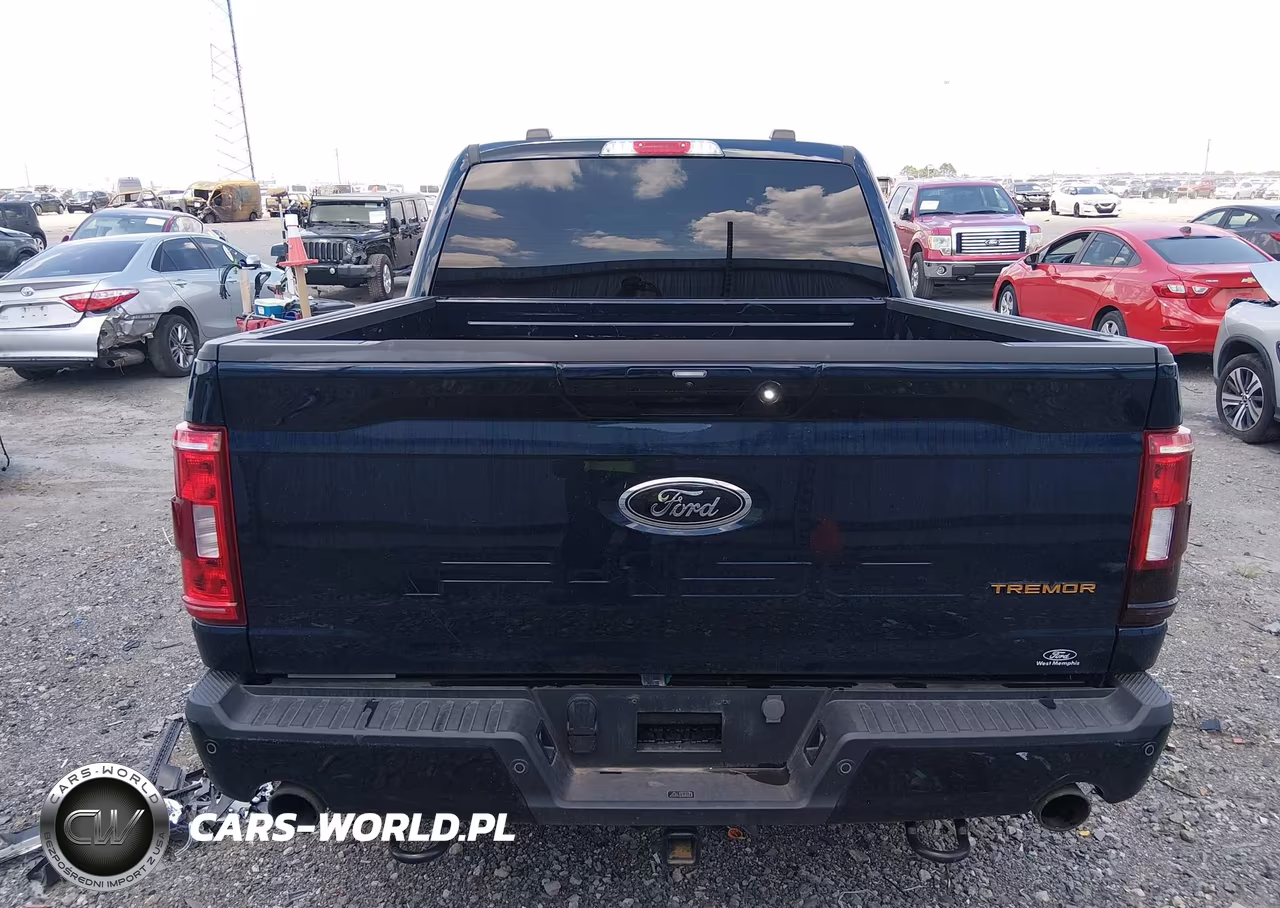 2023 Ford F-150 Tremor VIN:1FTFW1E57PFA48010 - 16