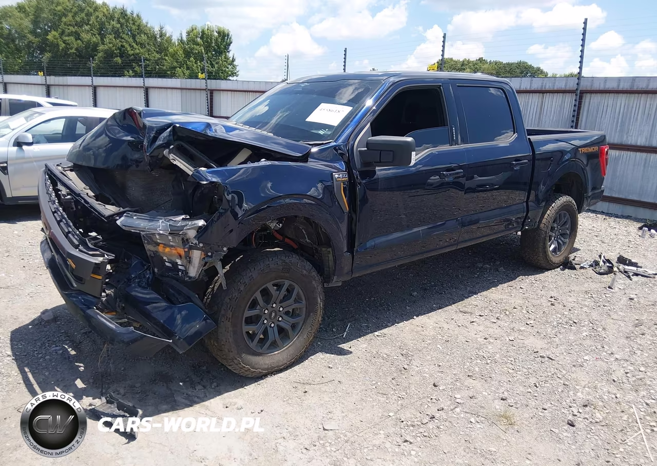 2023 Ford F-150 Tremor VIN:1FTFW1E57PFA48010 - 2