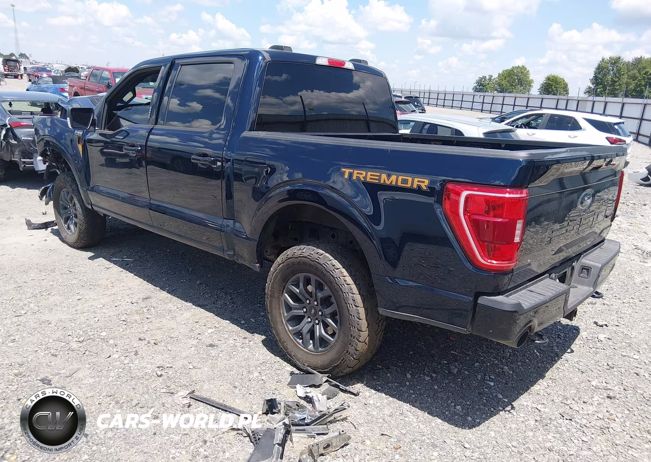 2023 Ford F-150 Tremor VIN:1FTFW1E57PFA48010 - 3