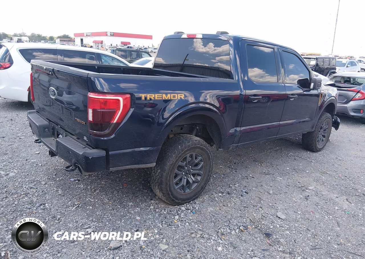 2023 Ford F-150 Tremor VIN:1FTFW1E57PFA48010 - 4