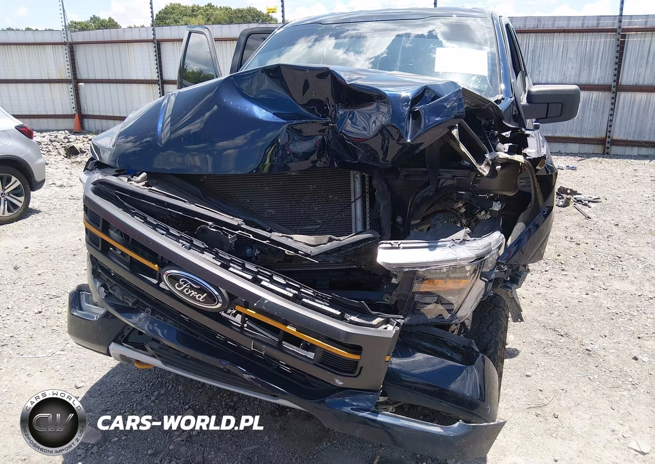 2023 Ford F-150 Tremor VIN:1FTFW1E57PFA48010 - 6