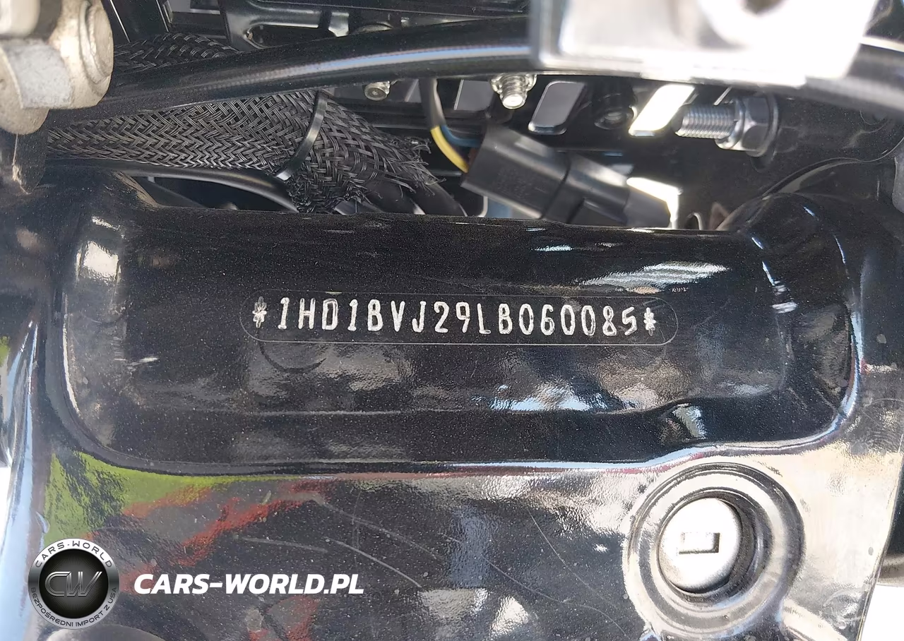 2020 Harley-Davidson Fxst VIN:1HD1BVJ29LB060085 - 10