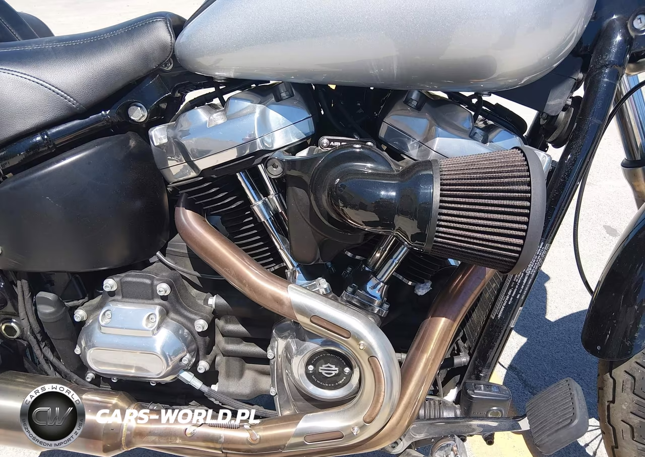 2020 Harley-Davidson Fxst VIN:1HD1BVJ29LB060085 - 8