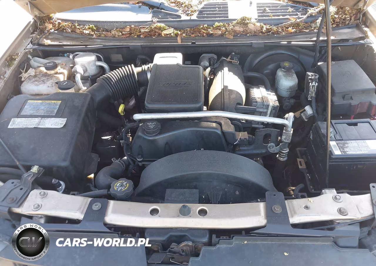 2005 Chevrolet Trailblazer Ext Lt VIN:1GNET16S456134663 - 10