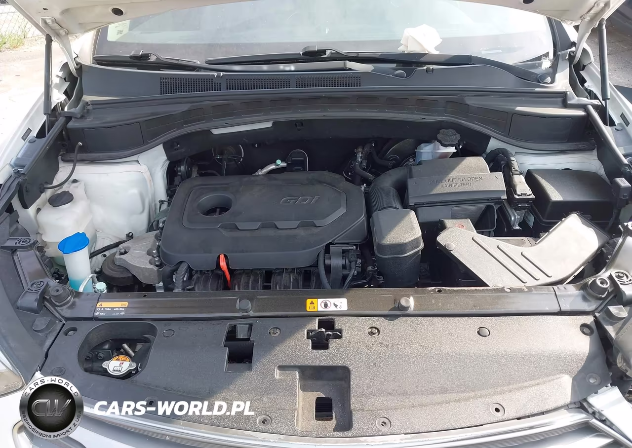 2017 Hyundai Santa Fe Sport 2.4L VIN:5NMZUDLB6HH009748 - 10