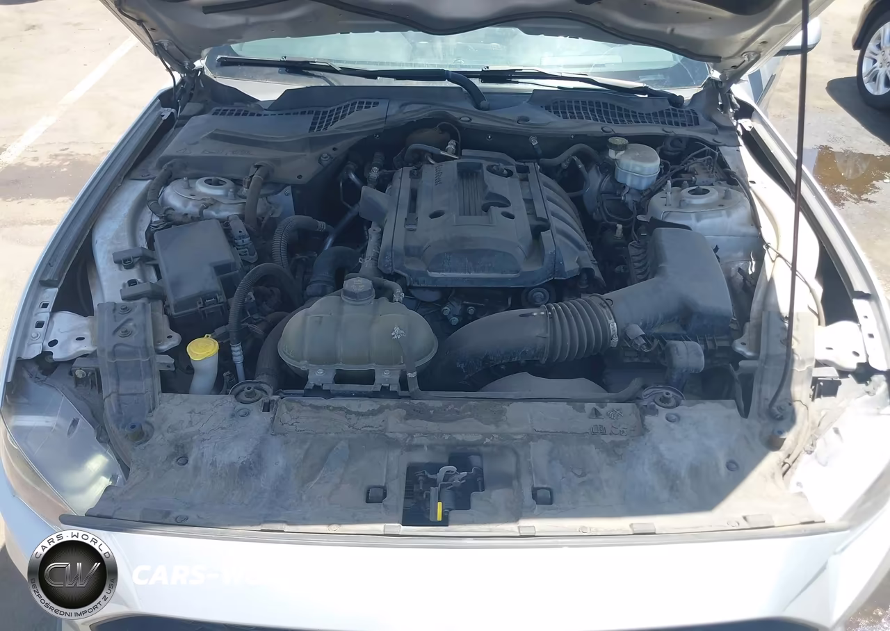 2019 Ford Mustang Ecoboost-Ecoboost Premium VIN:1FA6P8TH1K5119032 - 10
