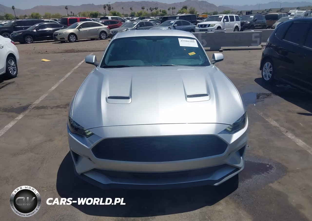 2019 Ford Mustang Ecoboost-Ecoboost Premium VIN:1FA6P8TH1K5119032 - 13
