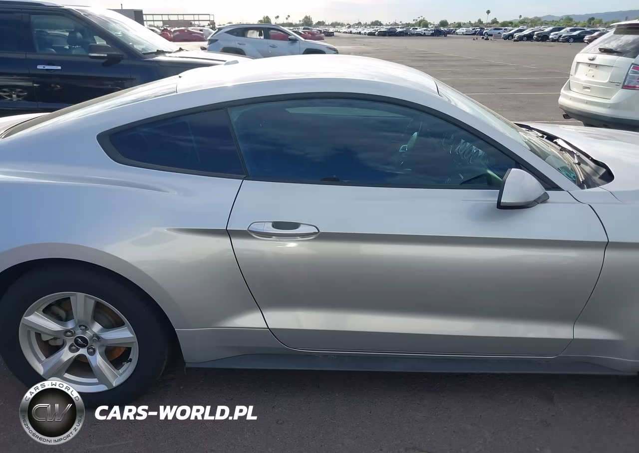 2019 Ford Mustang Ecoboost-Ecoboost Premium VIN:1FA6P8TH1K5119032 - 14