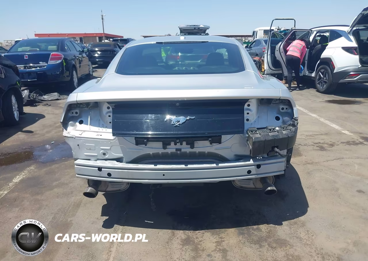 2019 Ford Mustang Ecoboost-Ecoboost Premium VIN:1FA6P8TH1K5119032 - 17
