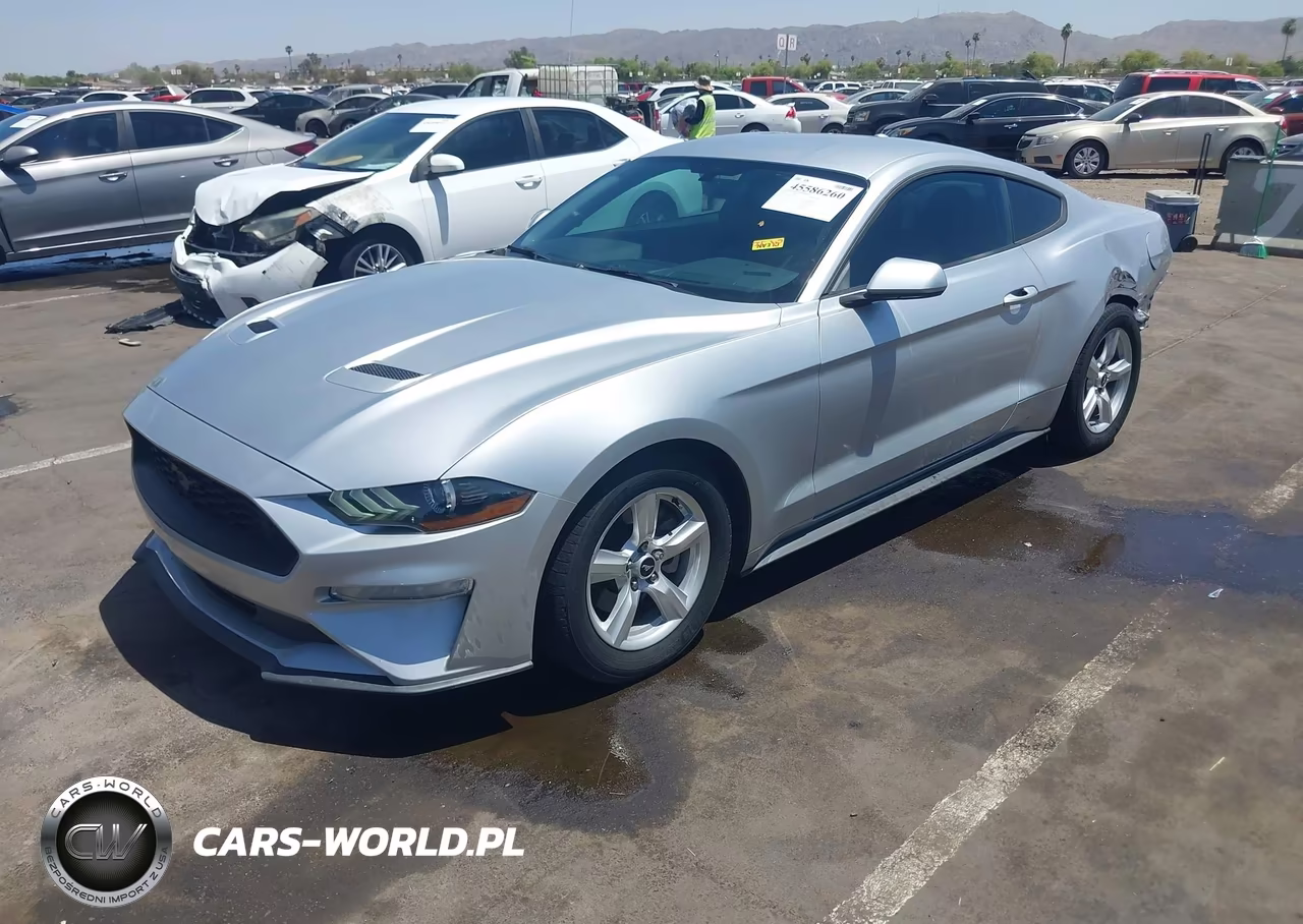 2019 Ford Mustang Ecoboost-Ecoboost Premium VIN:1FA6P8TH1K5119032 - 2
