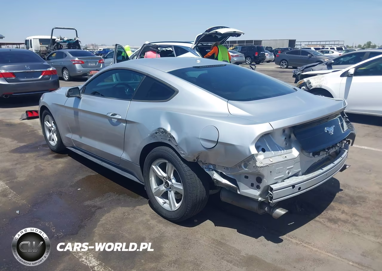 2019 Ford Mustang Ecoboost-Ecoboost Premium VIN:1FA6P8TH1K5119032 - 3