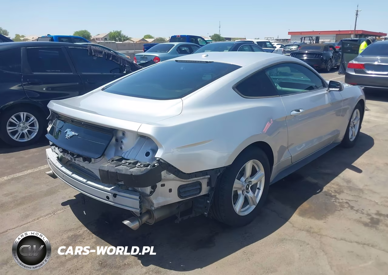 2019 Ford Mustang Ecoboost-Ecoboost Premium VIN:1FA6P8TH1K5119032 - 4