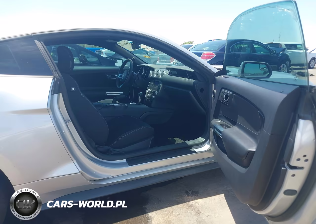 2019 Ford Mustang Ecoboost-Ecoboost Premium VIN:1FA6P8TH1K5119032 - 5