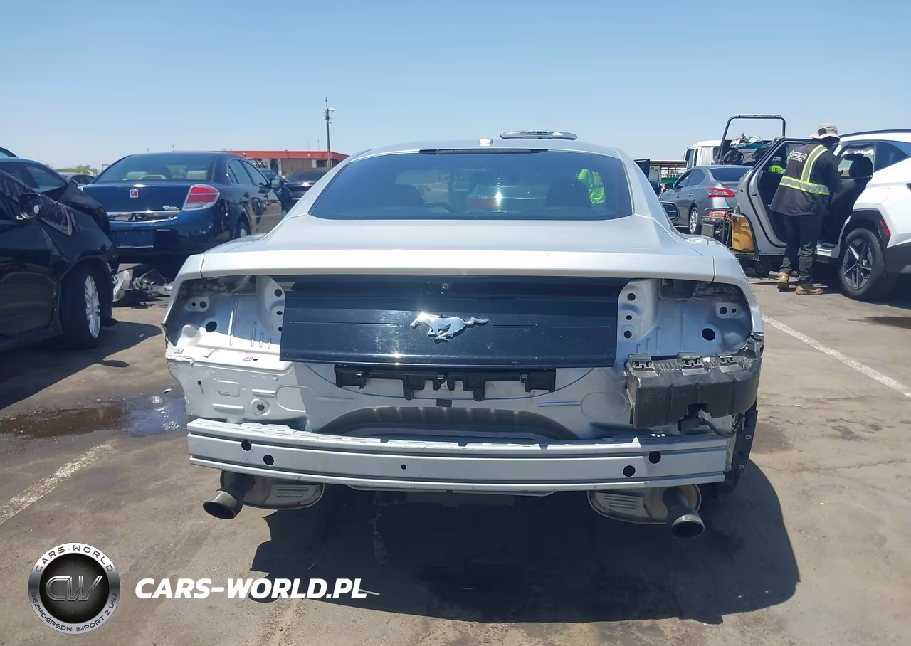 2019 Ford Mustang Ecoboost-Ecoboost Premium VIN:1FA6P8TH1K5119032 - 6