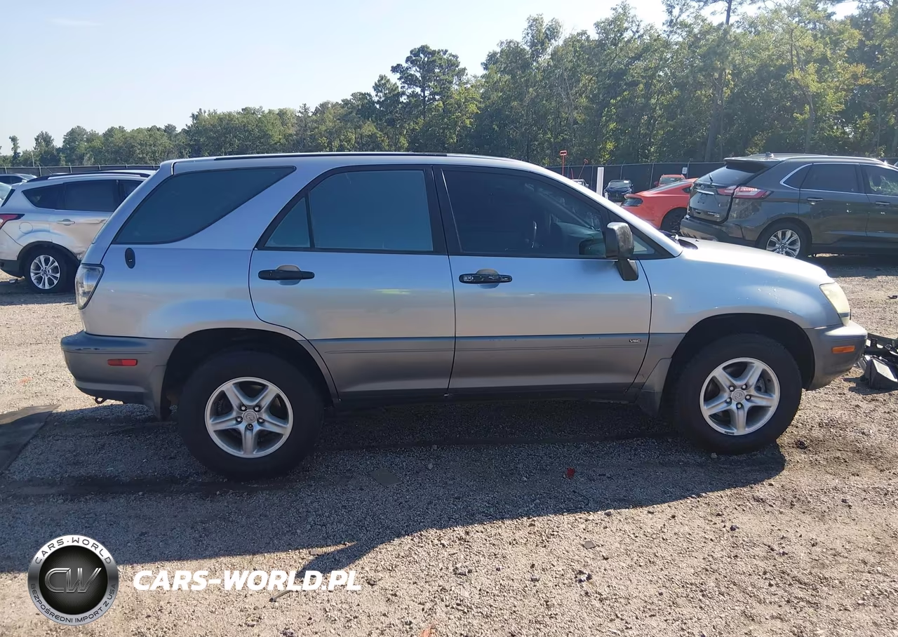 2002 Lexus Rx 300 VIN:JTJGF10U020123920 - 13