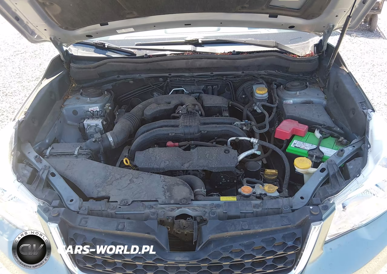 2016 Subaru Forester 2.5I VIN:JF2SJABC0GH505682 - 10