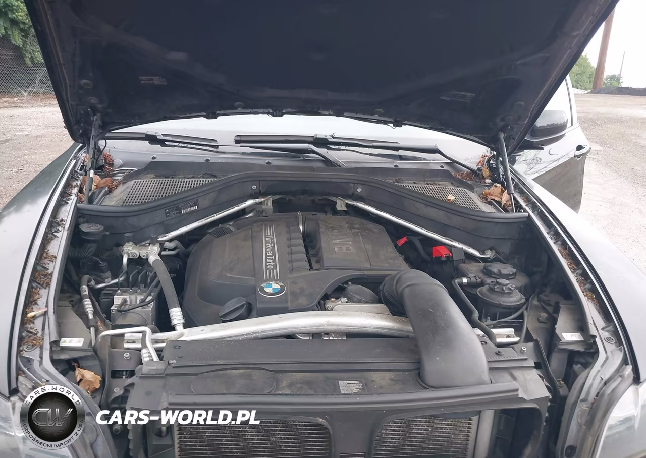2013 BMW X6 xDrive35I VIN:5UXFG2C58DL788330 - 10