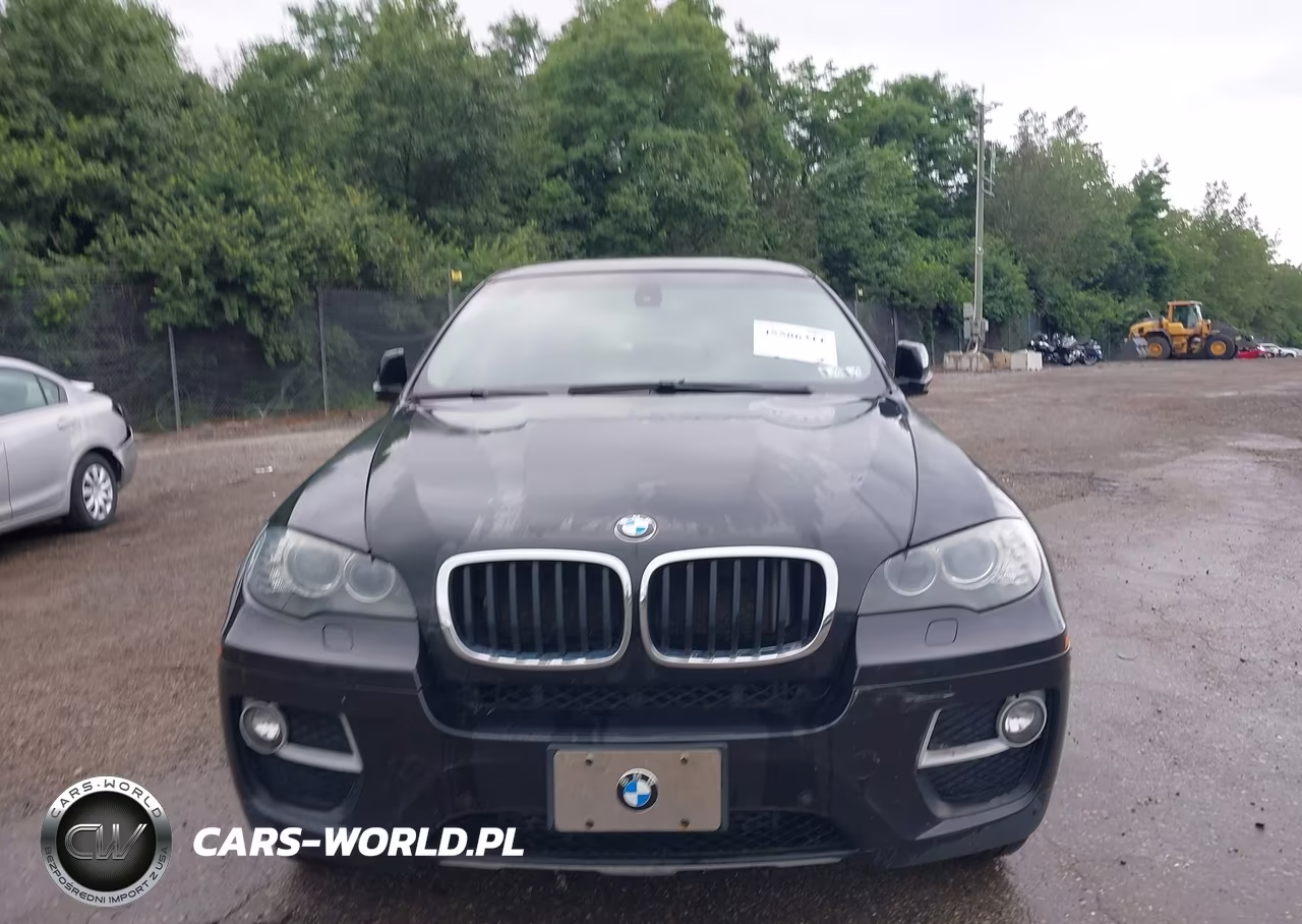2013 BMW X6 xDrive35I VIN:5UXFG2C58DL788330 - 13
