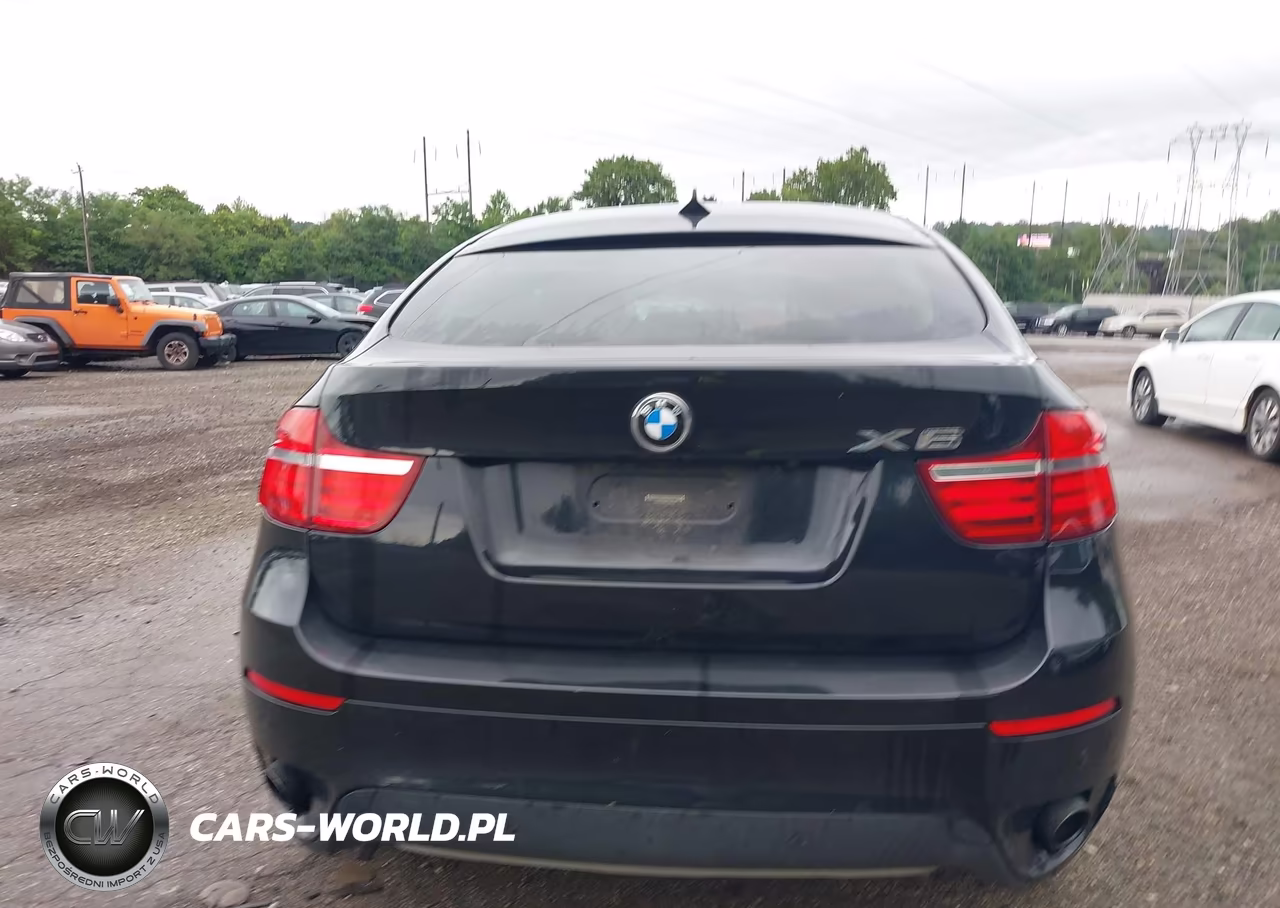 2013 BMW X6 xDrive35I VIN:5UXFG2C58DL788330 - 17