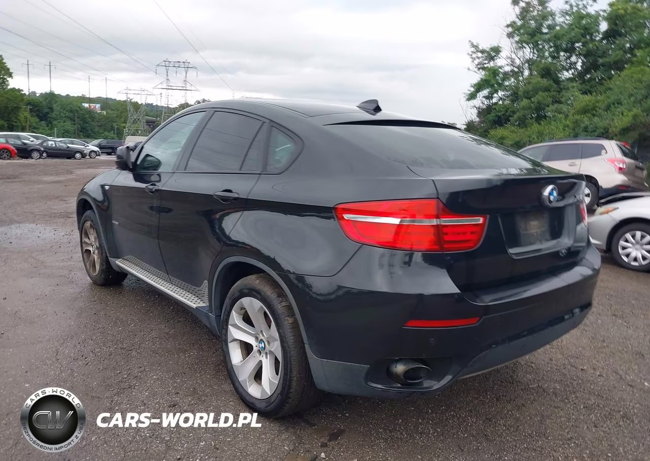 2013 BMW X6 xDrive35I VIN:5UXFG2C58DL788330 - 3