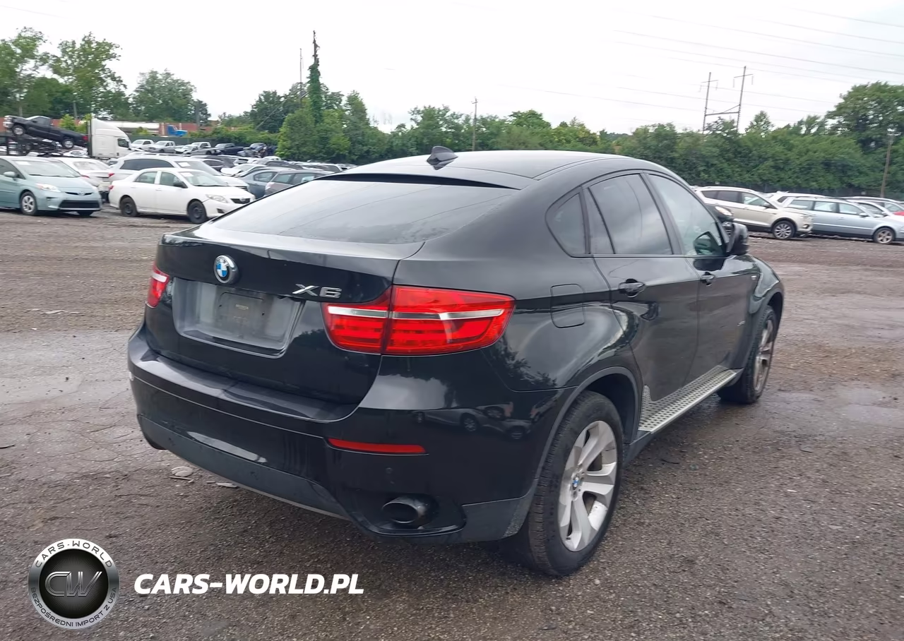 2013 BMW X6 xDrive35I VIN:5UXFG2C58DL788330 - 4