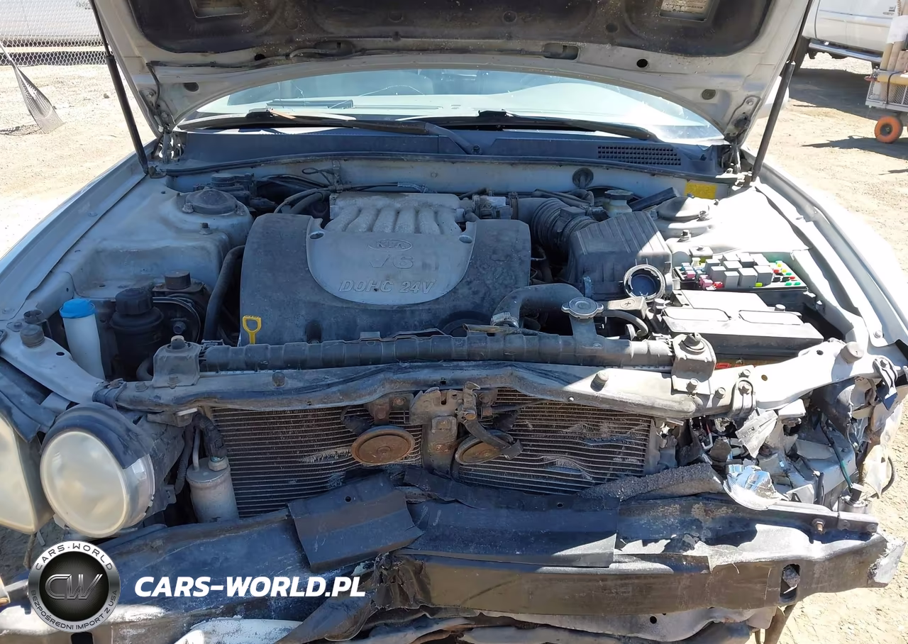 2004 Kia Optima Ex V6-Lx V6 VIN:KNAGD128545288986 - 10