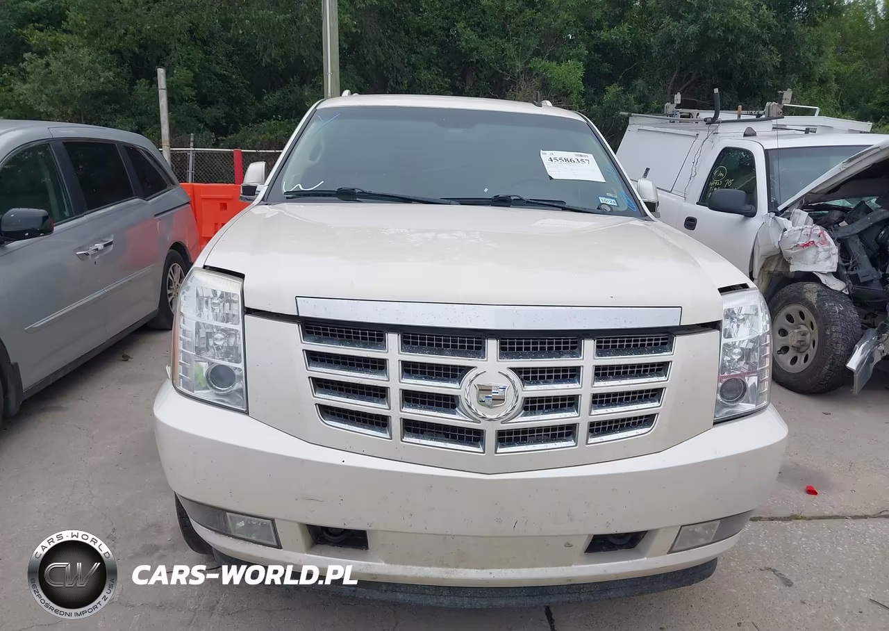 2009 Cadillac Escalade Esv Standard VIN:1GYFK26279R148545 - 12