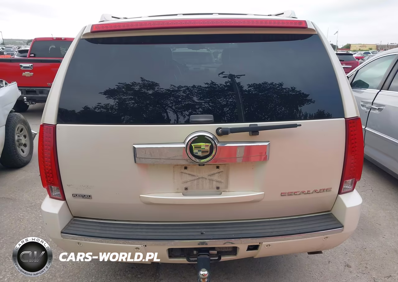 2009 Cadillac Escalade Esv Standard VIN:1GYFK26279R148545 - 16