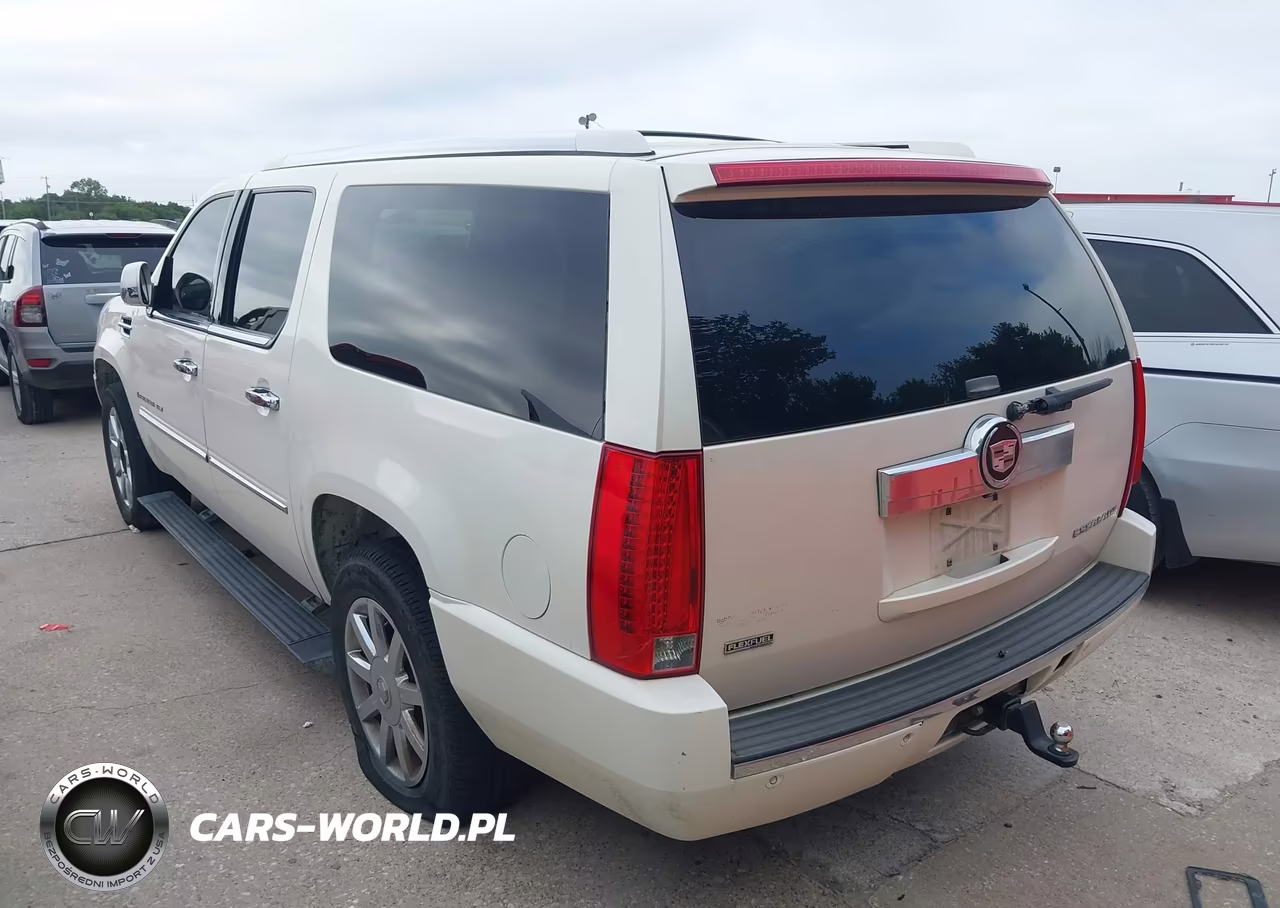 2009 Cadillac Escalade Esv Standard VIN:1GYFK26279R148545 - 3