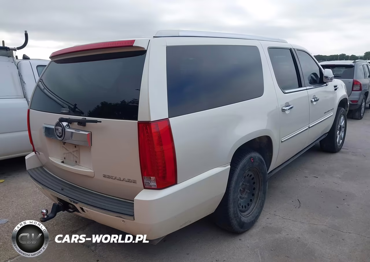 2009 Cadillac Escalade Esv Standard VIN:1GYFK26279R148545 - 4