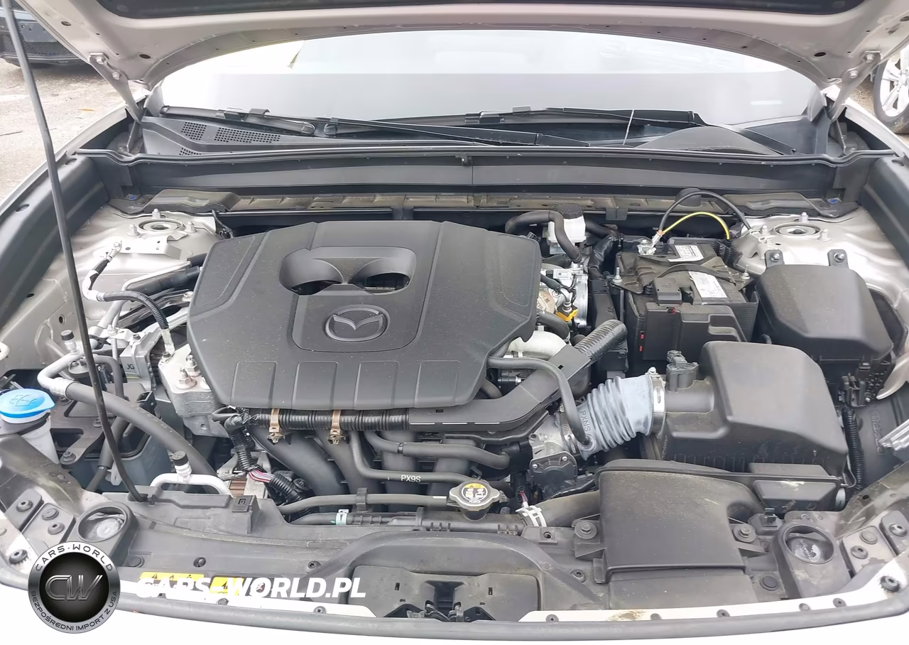 2024 Mazda Cx-30 2.5 S Premium Package VIN:3MVDMBDM7RM649088 - 10